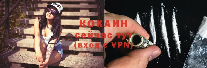 как найти   Куса  Cocaine 98% 